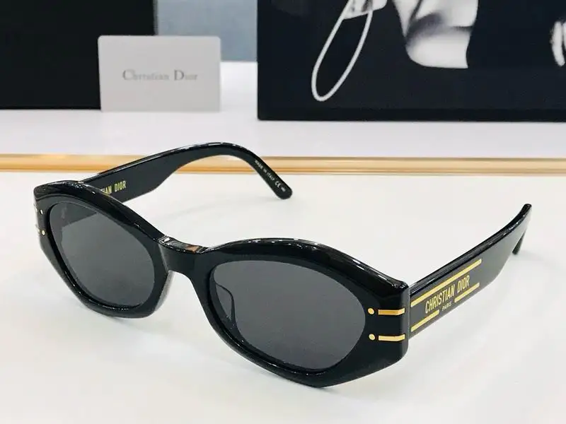 Dior Glasses smr (129)